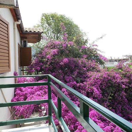 Villa Marko Dhermi Exterior photo